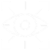 Vision Icon
