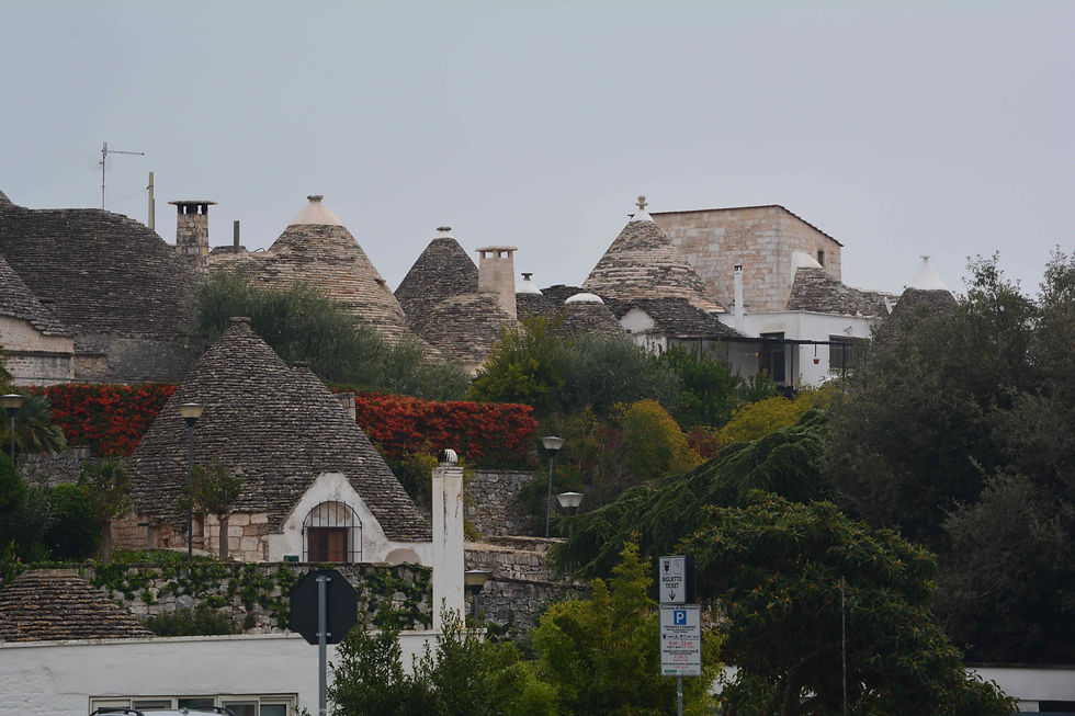3thl alberobello0021
