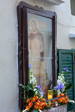 DSC_0081.jpeg