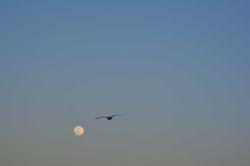 DSC_0157.jpeg