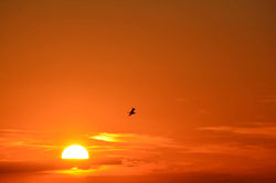 DSC_0167.jpeg