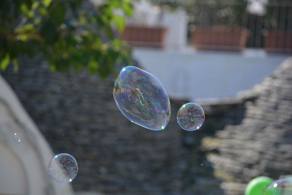 3thl alberobello1334