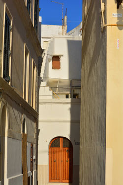DSC_0048.jpeg