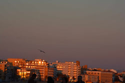 DSC_0160.jpeg