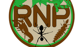 Ryukyu Nature Positive logo
