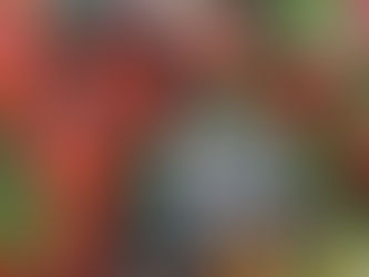 まずは観察。子どもたちは興味津々。