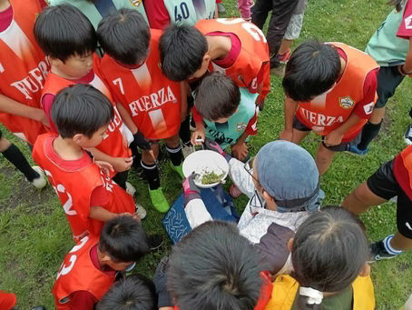 まずは観察。子どもたちは興味津々。
