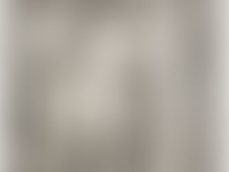 Albrecht Dürer: Die vier Hexen