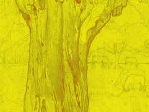 Rudolf Steiner: La cuestión de la tierra desde el punto de vista de la triformación