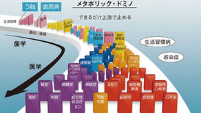 メタボリックドミノとは