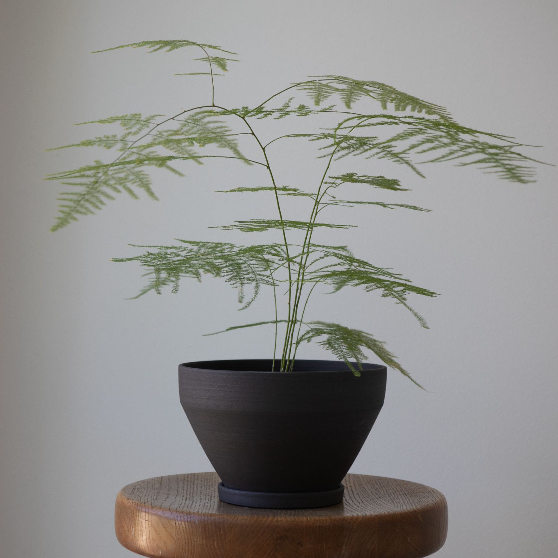 Black Stoneware Planter