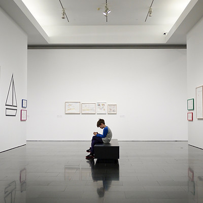 Young Boy in a Museum