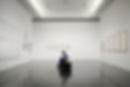 Young Boy in a Museum