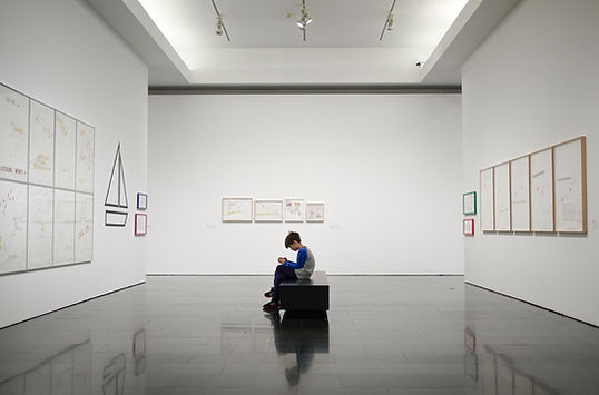Young Boy in a Museum