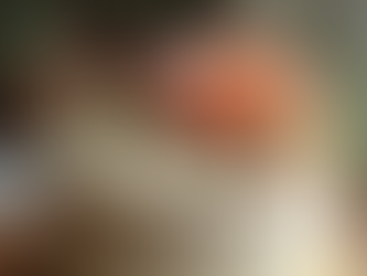 How to Choose the Perfect Cake for Any Occasion