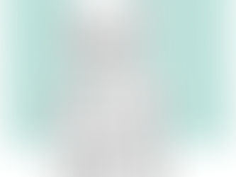 先日
