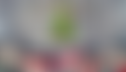 Undecorate the Tree for the Girl’s and Boy’s Group Homes 2022