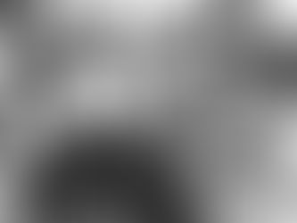 The Deaconess Movement and the Episcopal Church