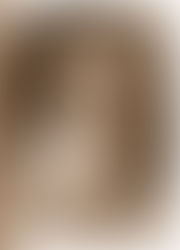 Pope by Avian Election