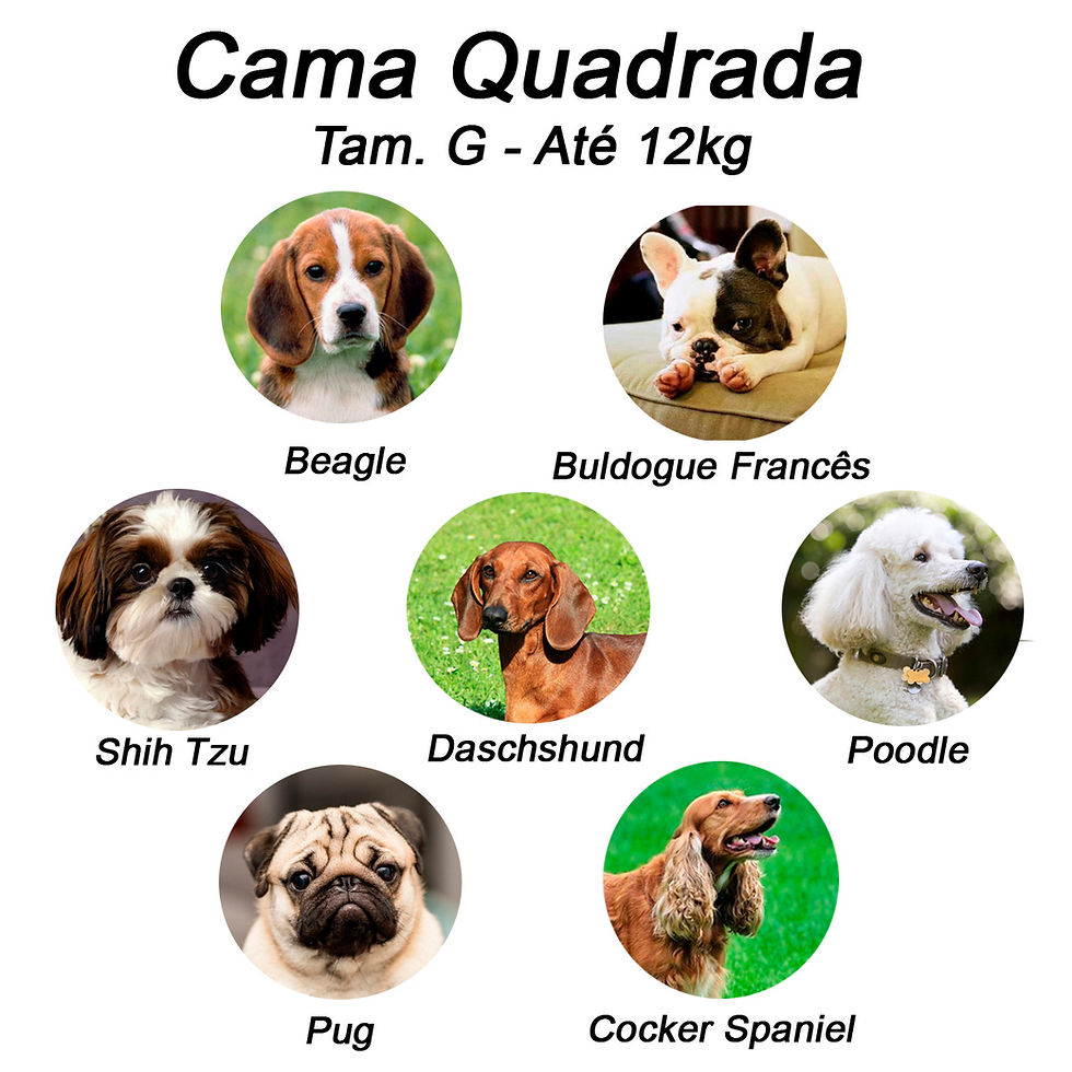 Miniatura: Cama para Cachorro Quadrada Impermeavel Luppet Rosa Cachorrinho b2w (LP80160-07)