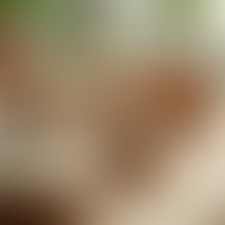 Embracing Natural Facial Treatments