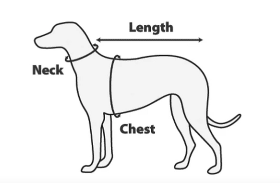 Dog with guidance on neck, chest and length size