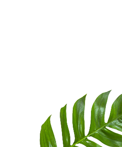 enfant nature