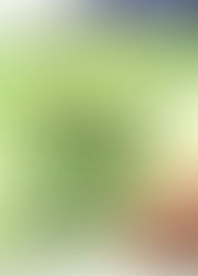 AESAS NA MÍDIA: Diretora Técnica da AESAS escreve artigo sobre GERENCIAMENTO DE ÁREAS CONTAMINADAS p