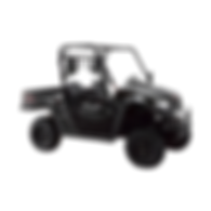 yerimos buggy