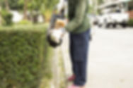 AdobeStock_162461659.jpeg
