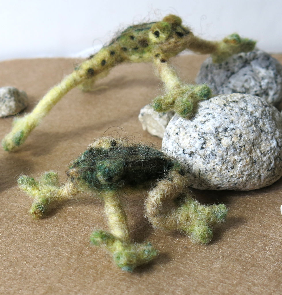 Frogs - 4