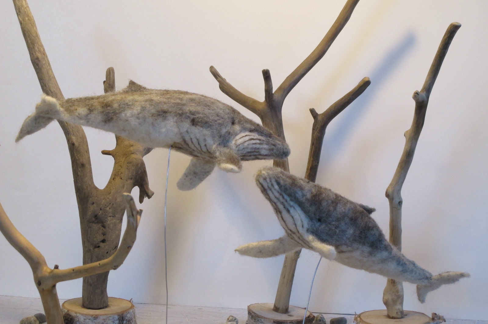 Whale  (Sold individually)