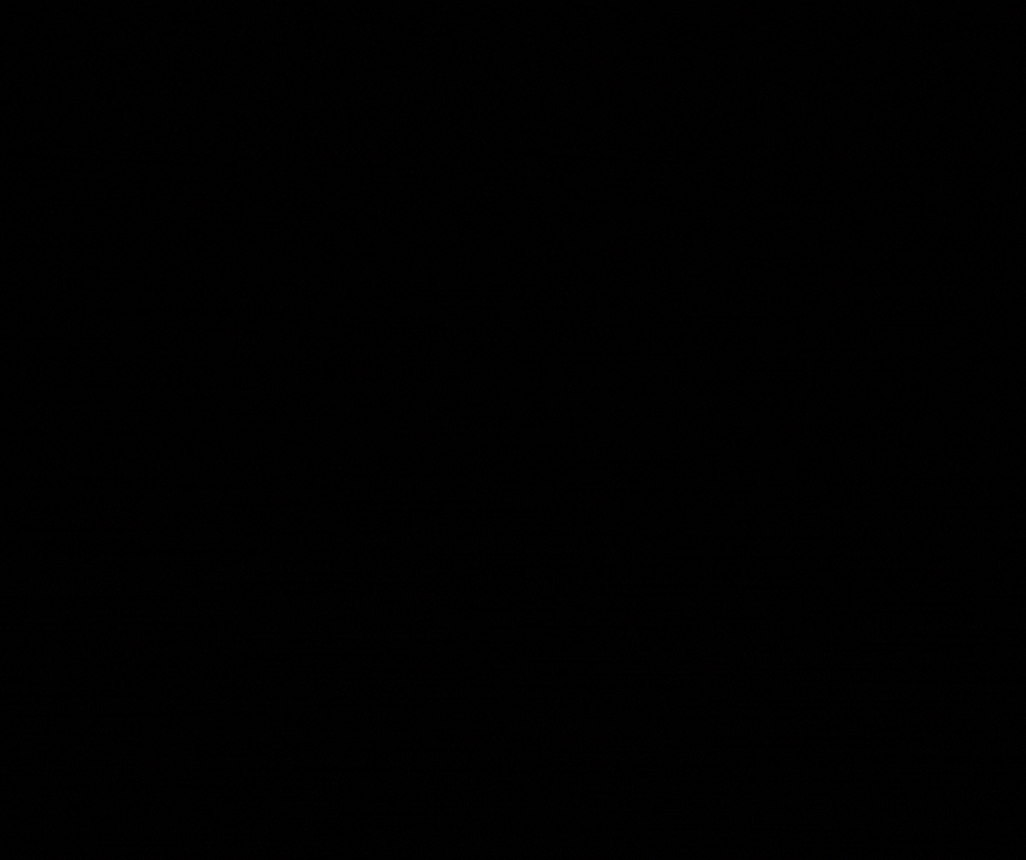 DAVID NARENS COLLECTION.gif