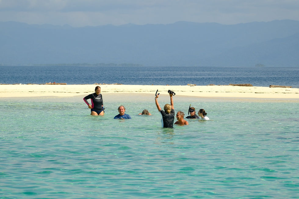 Los huéspedes del alquiler de catamarán disfrutan de las aguas turquesas poco profundas alrededor de una pequeña isla de arena blanca en San Blas, Panamá: aguas tranquilas, naturaleza prístina e islas ocultas deshabitadas durante todo el año.