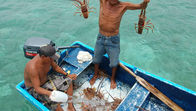 Is San Blas Safe in 2026? Everything Families Need to Know