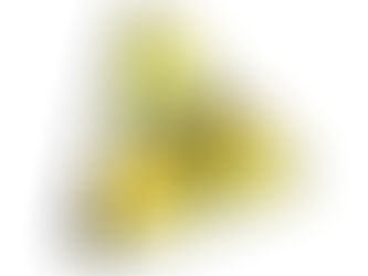 Faire appel à un professionnel pour le nettoyage après un suicide