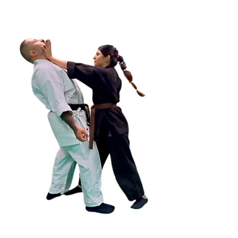 WOLF KAI 4.pdf (6).png