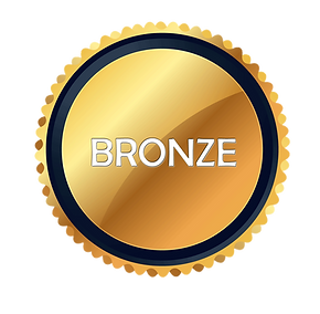 BRONZE-MEDAL---SILENT-AUCTI.png