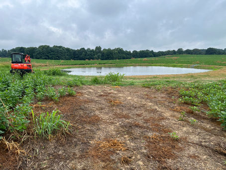 Second New Pond for Upcoming Season