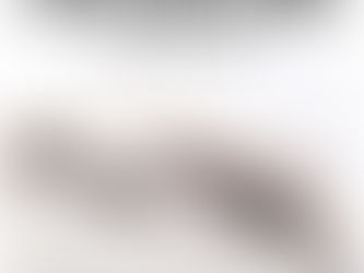 Recensione “Solo una storia d’amore e di troppe paturnie” di Momi Gatto