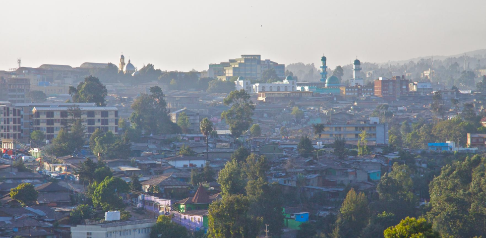 the military,consultancy