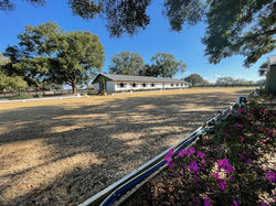 Dressage Arena