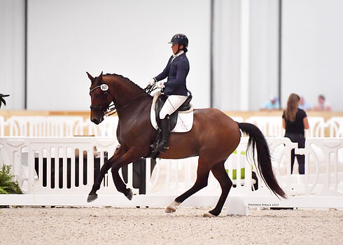 Farrier Photo 3.jpeg