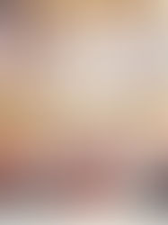 To bring Christ to the world through Mary