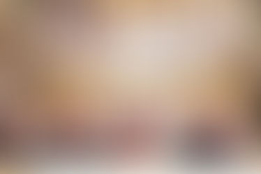 To bring Christ to the world through Mary