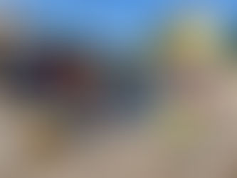 Půdy, garáže a skříně opět vyklizeny, poklady na blešáku nalezeny!