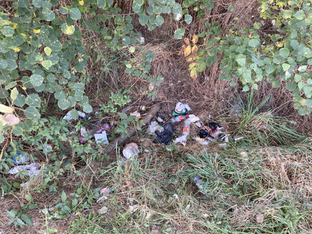 Ukliďme Česko - podruhé a určitě ne naposled