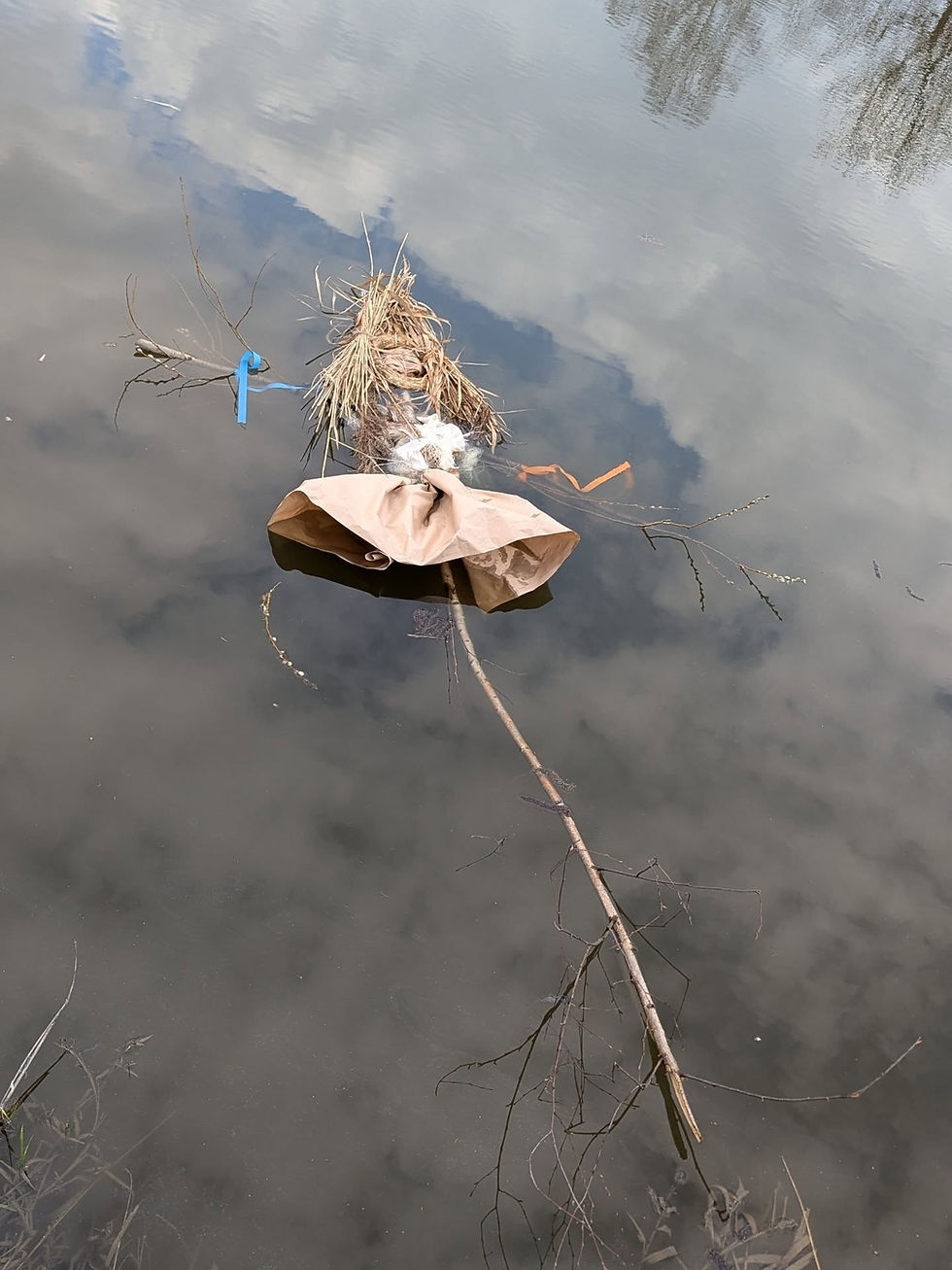 Smrt nesem ze vsi, nový líto do vsi! Tradiční vynášení Morany nechybělo ani letos