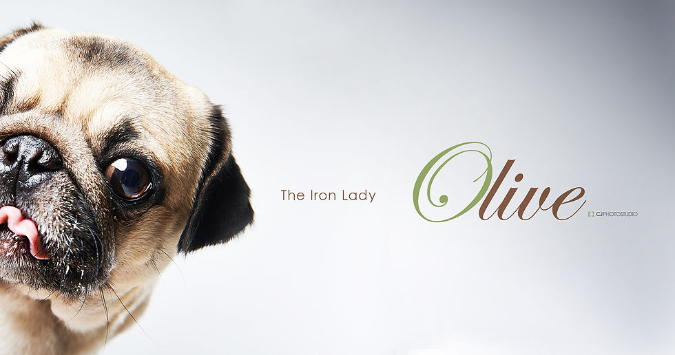 OLIVE FOR FB 004.jpg