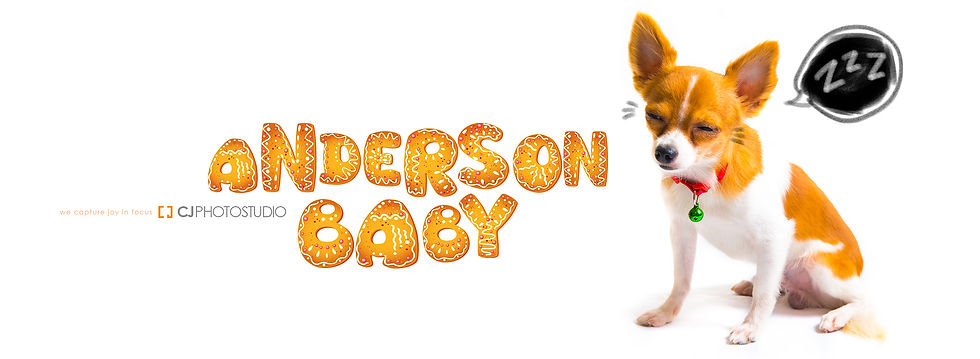 ANDERSON+19062013+AD002.jpg